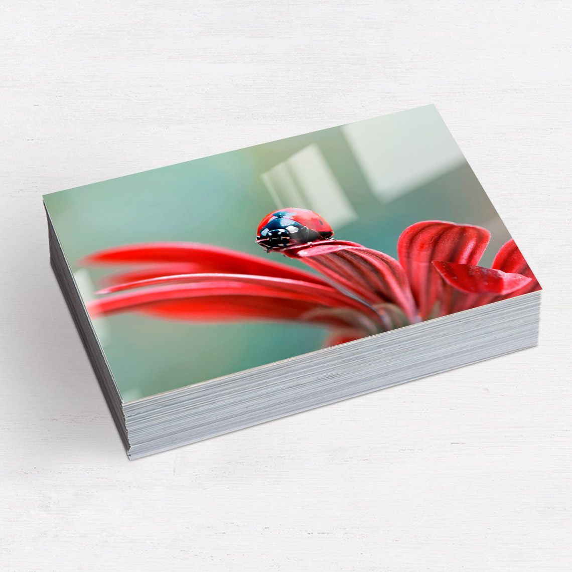 4x5.3" Prints (matte)