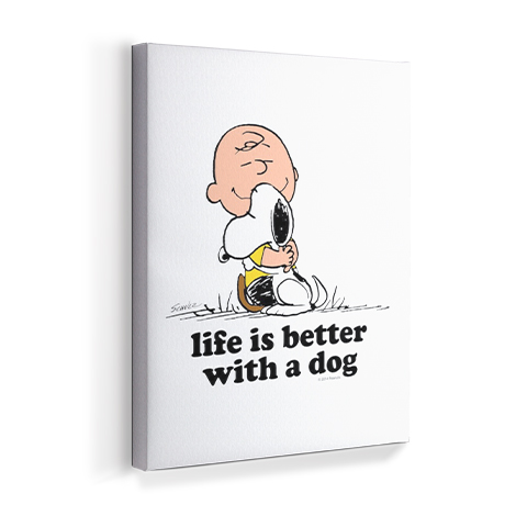 Charlie Brown and Snoopy - Life is Better