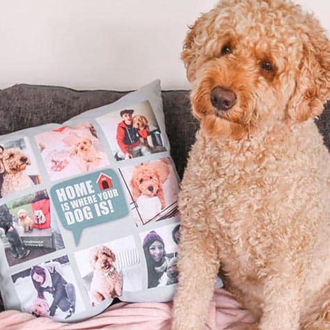 Collage cushion with pet photos