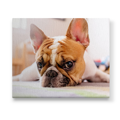 Photo sur Toiles Peronnalisées