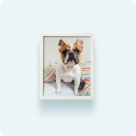 Large prints + framed prints