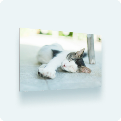 Photo panels + acrylic prints