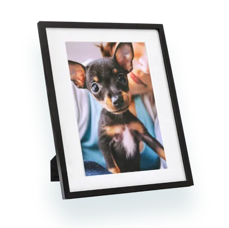 Framed prints