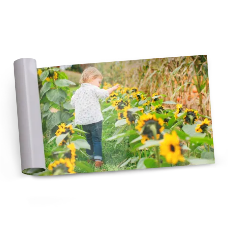 Panoramic prints