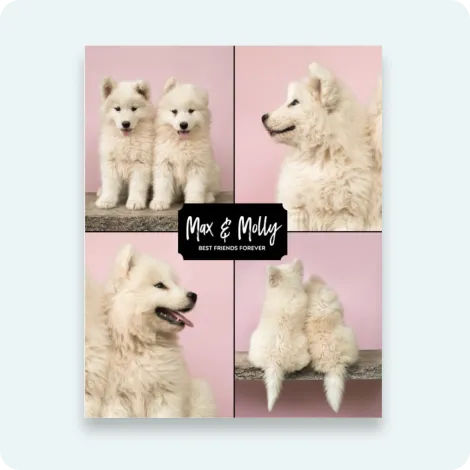 Collage Large Prints