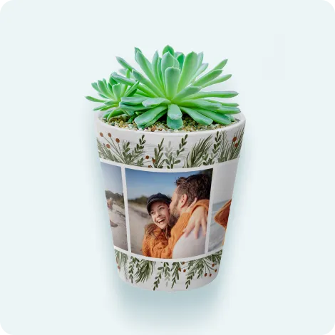 Plant Pot 