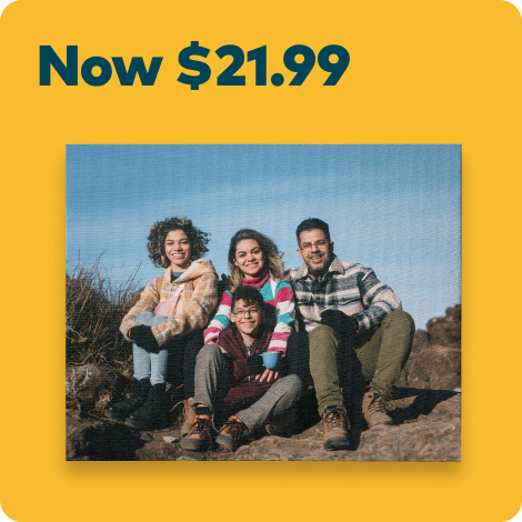 80% off 16x20 Canvas Prints