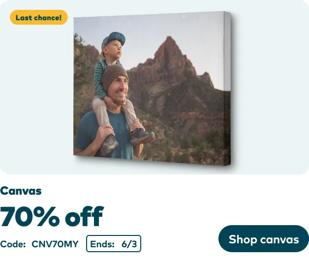 70% off Canvas