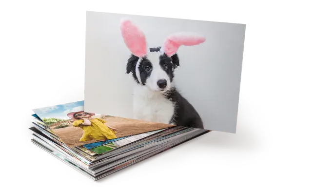 60% off prints + posters