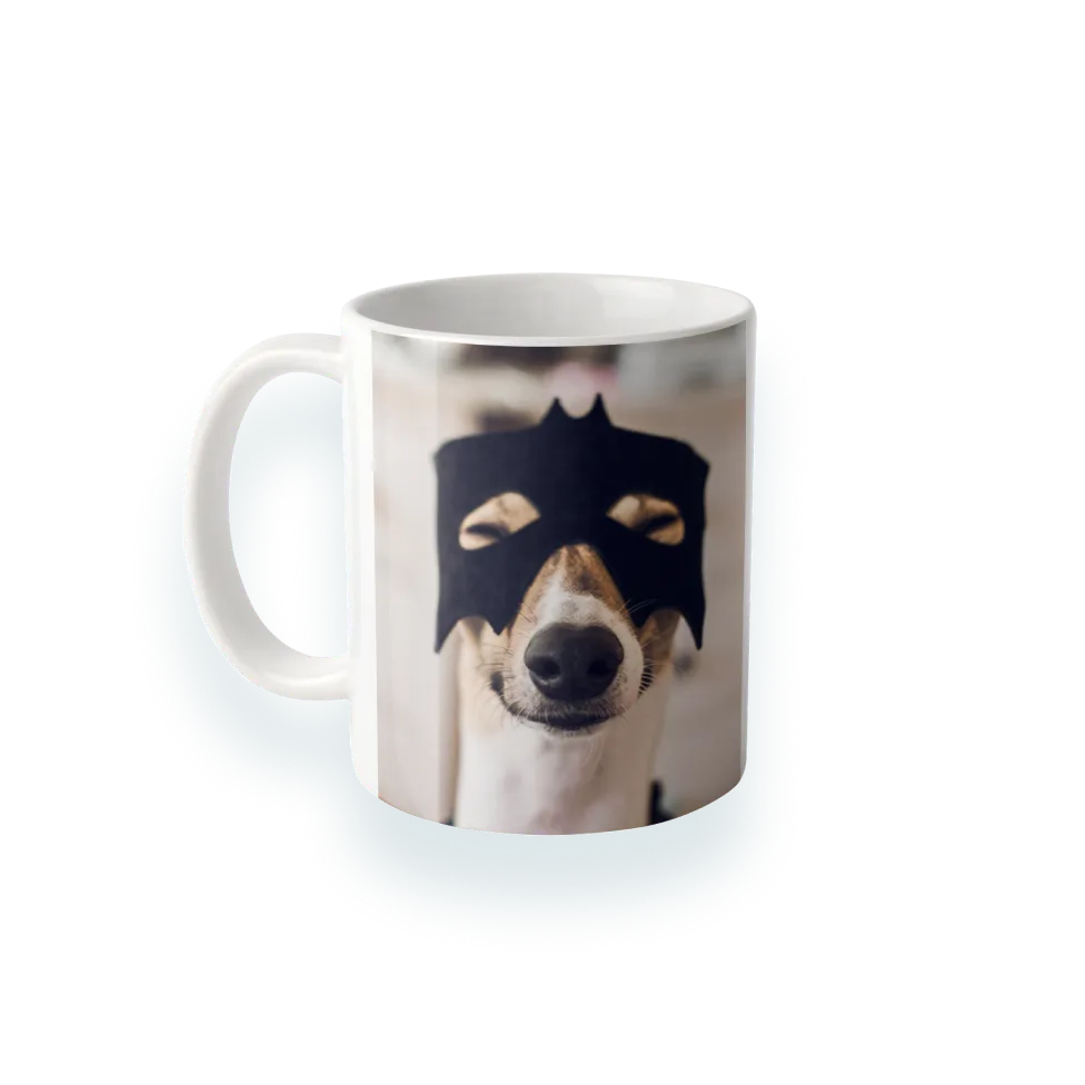 11oz. photo mugs