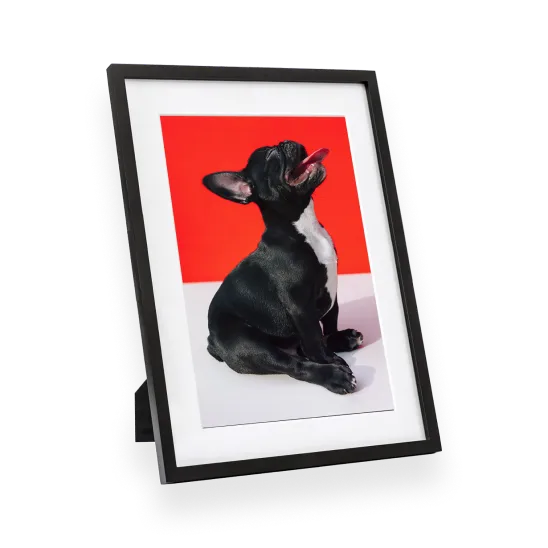 Framed prints