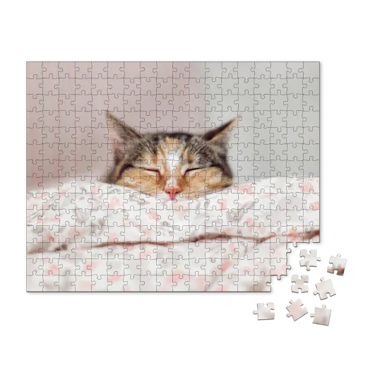 Puzzles