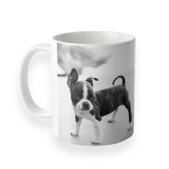11oz. photo mugs