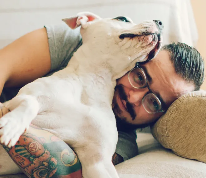 Pet dads