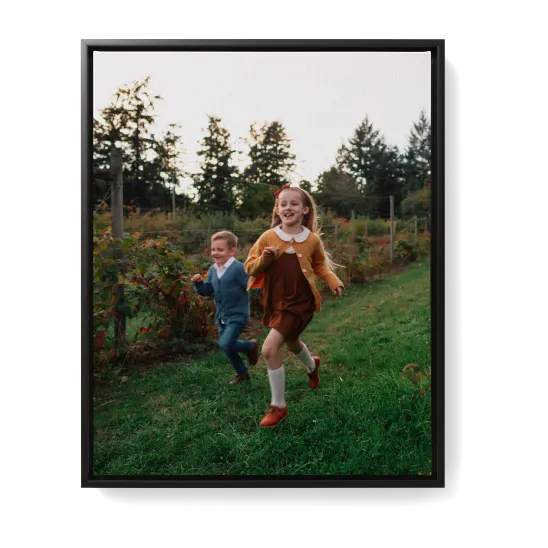 Framed canvas print