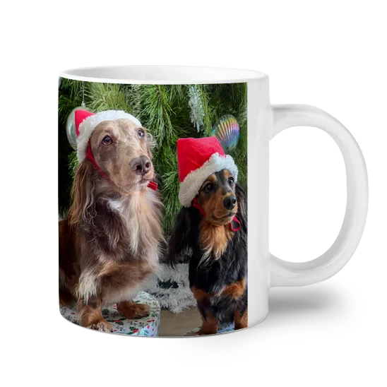 Tazza XL