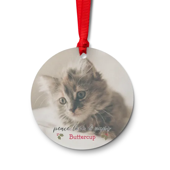 Acrylic round ornament