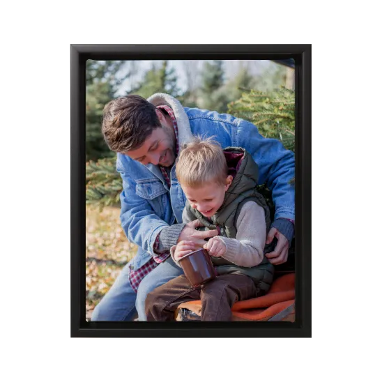 Framed canvas print