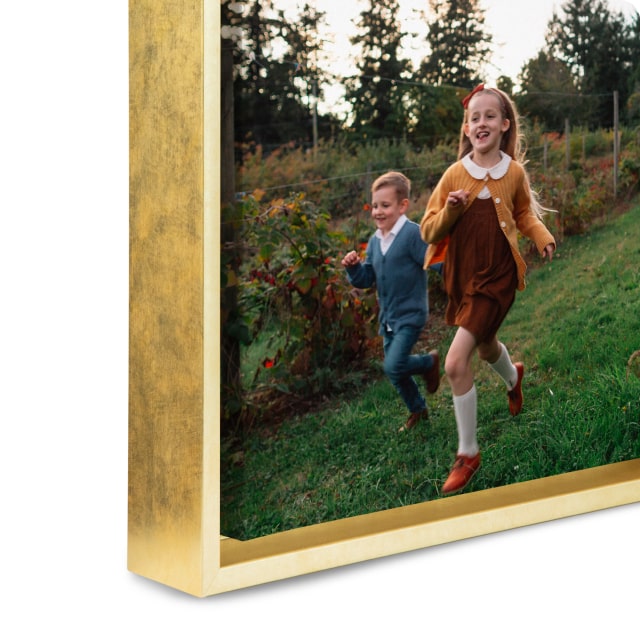 16x20 Framed Canvas Prints | Offset Film | Snapfish display picture 1